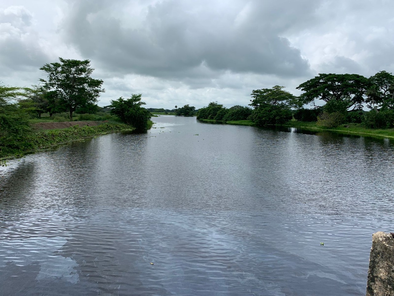 El caño Vicente Caballero: otros 750 metros cuadrados de mantenimiento