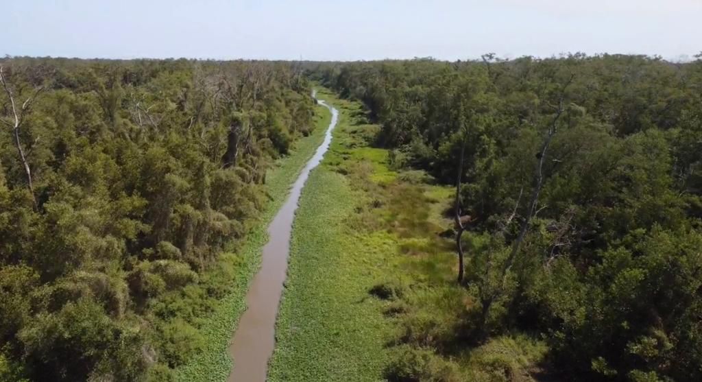 CORPAMAG: Se mueve entre las aguas, inicia mantenimiento en el caño Clarín Viejo