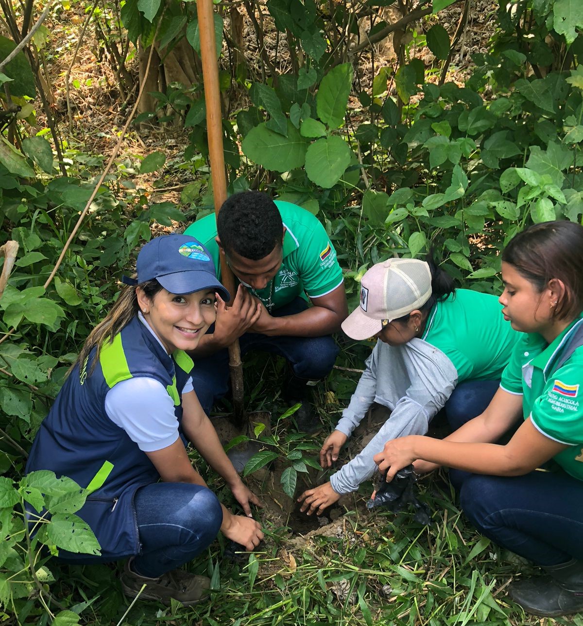 CORPAMAG, celebró muy cerca de la tierra, el ‘Día mundial del árbol’