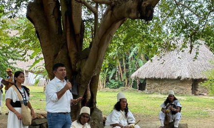 ‘Hermanos Mayores’, entran a participar del PAI de CORPAMAG