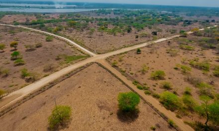 Este 2024 las vías del Magdalena reciben la temporada de lluvias con más garantías