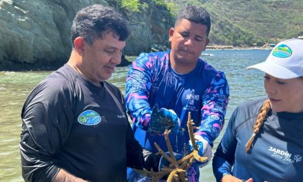 Más Arrecifes, más Mar Azul propósitos de CORPAMAG, Fundación CIM y el CVM