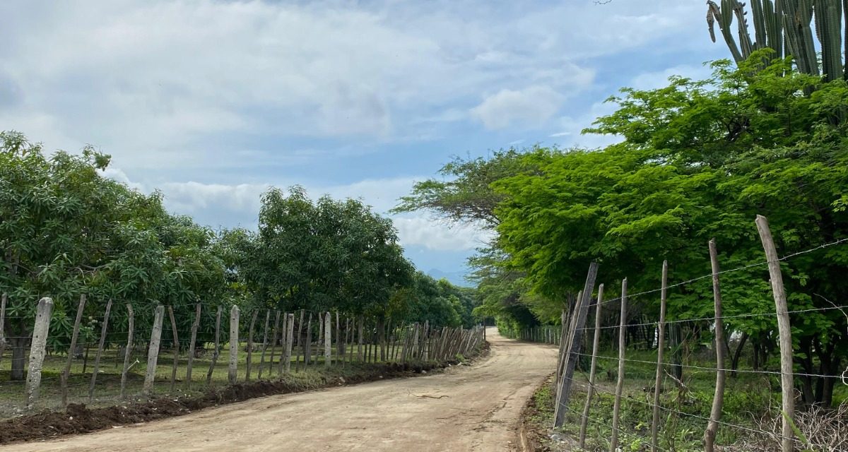 Gobernación interviene la red vial terciaria de Ciénaga