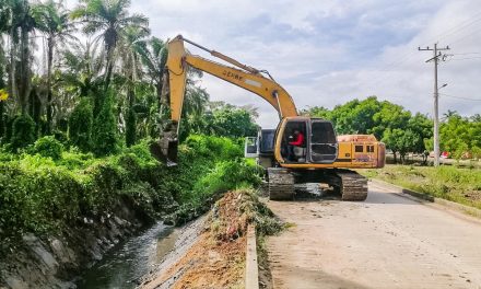Gobierno Galindo desarrolla tareas de limpieza en canales para prevenir inundaciones