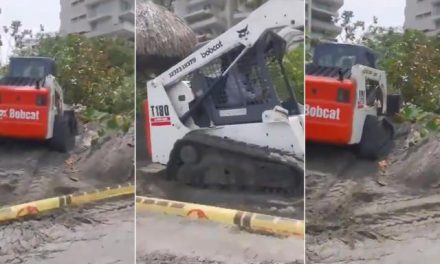 DADSA autoridad ambiental de Santa Marta expide comunicado sobre situación de y tala de manglares.