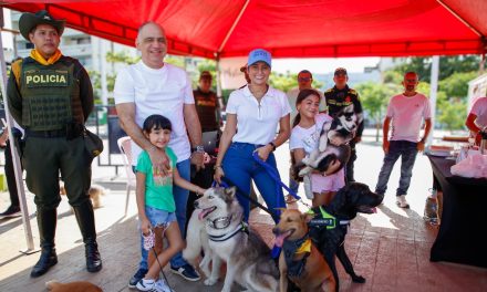 ‘Huellitas del Mar’, el programa que nace para proteger a los animales