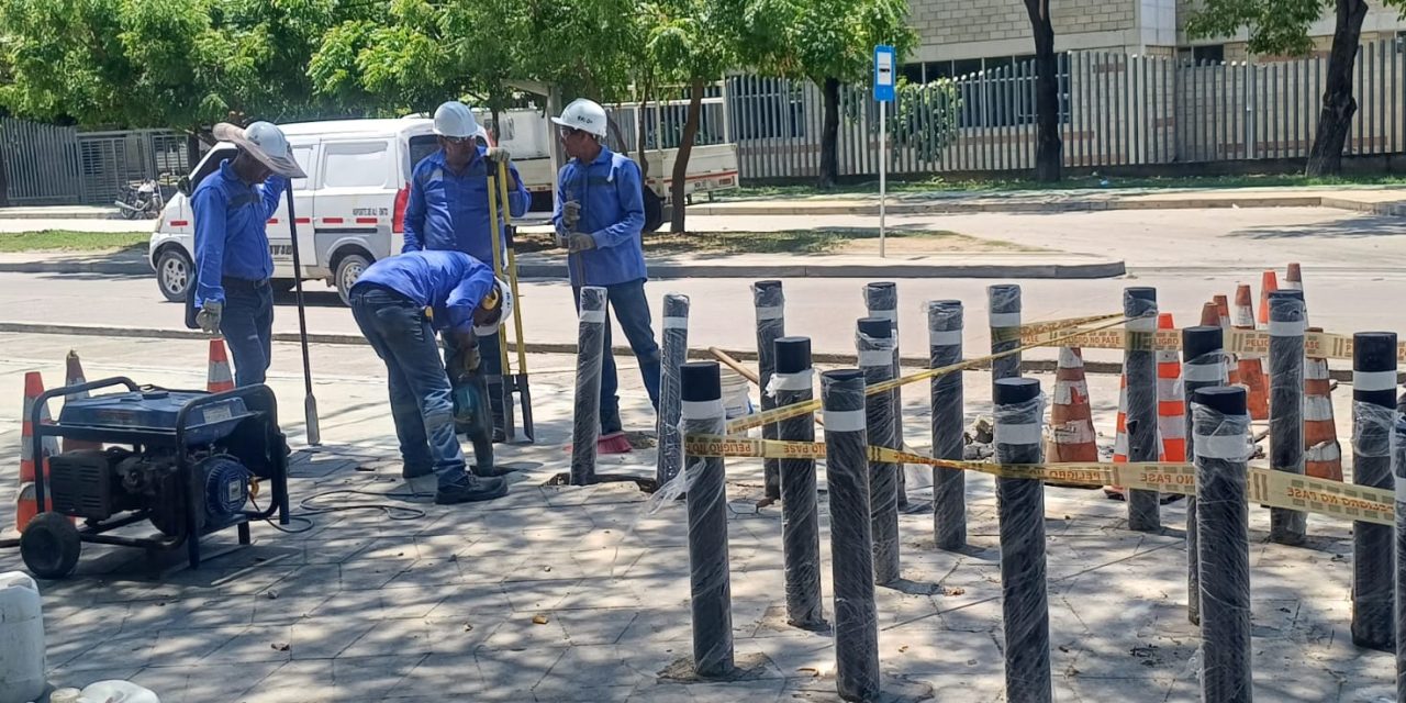 CI2 SOLUCIONES SAS, dispuesto a proteger el Parque Los Trupillos
