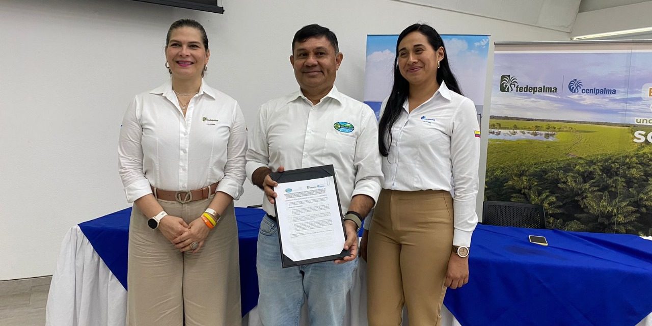 CORPAMAG, FEDEPALMA Y CENIPALMA juntos por la gestión ambiental del sector palmicultor