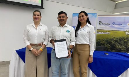 CORPAMAG, FEDEPALMA Y CENIPALMA juntos por la gestión ambiental del sector palmicultor