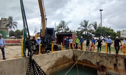 ‘Sobrado de Tiburón’ El Manatí que gracias a CORPAMAG y sus aliados sigue entre nosotros
