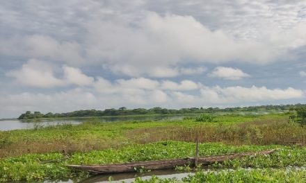 Para afrontar la temporada de sequía CORPAMAG autoriza cierre de flujo de agua a ciénagas