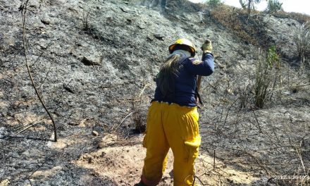 CORPAMAG: Se adelante y adopta medidas para enfrentar la temporada seca e incendios forestales