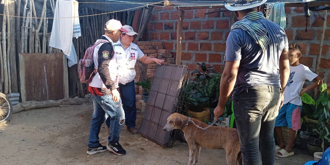Vigilancia epidemiológica en caninos se intensifica por parte de la Gobernación