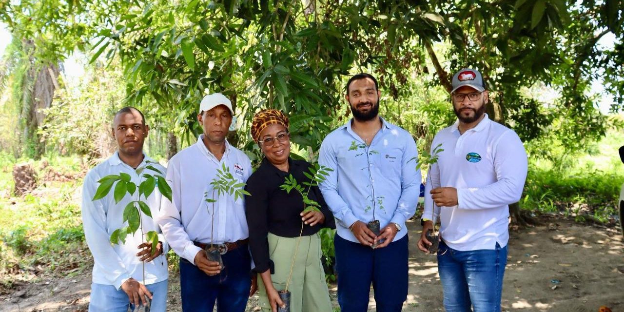 CORPAMAG hace alianza con FEDEPALMA, entregan 300 árboles en la Zona Bananera