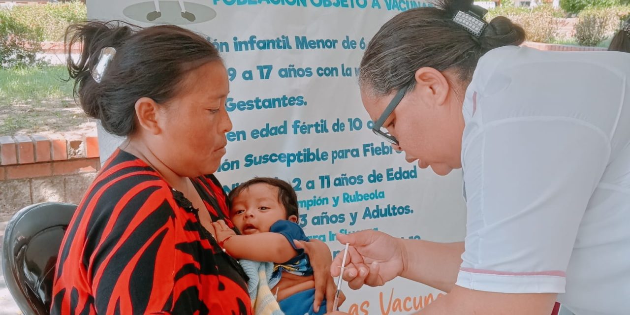 Hospital de Algarrobo aplica 356 dosis de biológicos para prevenir enfermedades