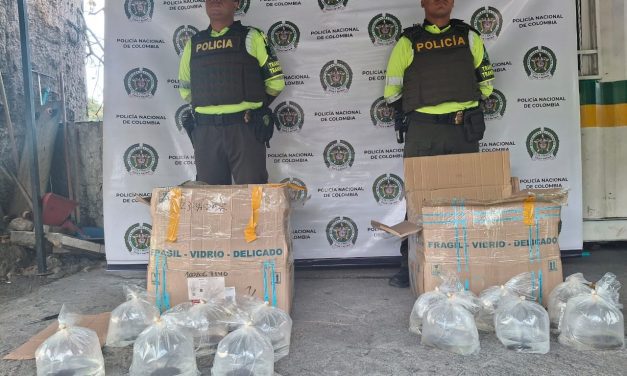 En Semana Santa, primera incautación de fauna silvestre transportada ilegalmente