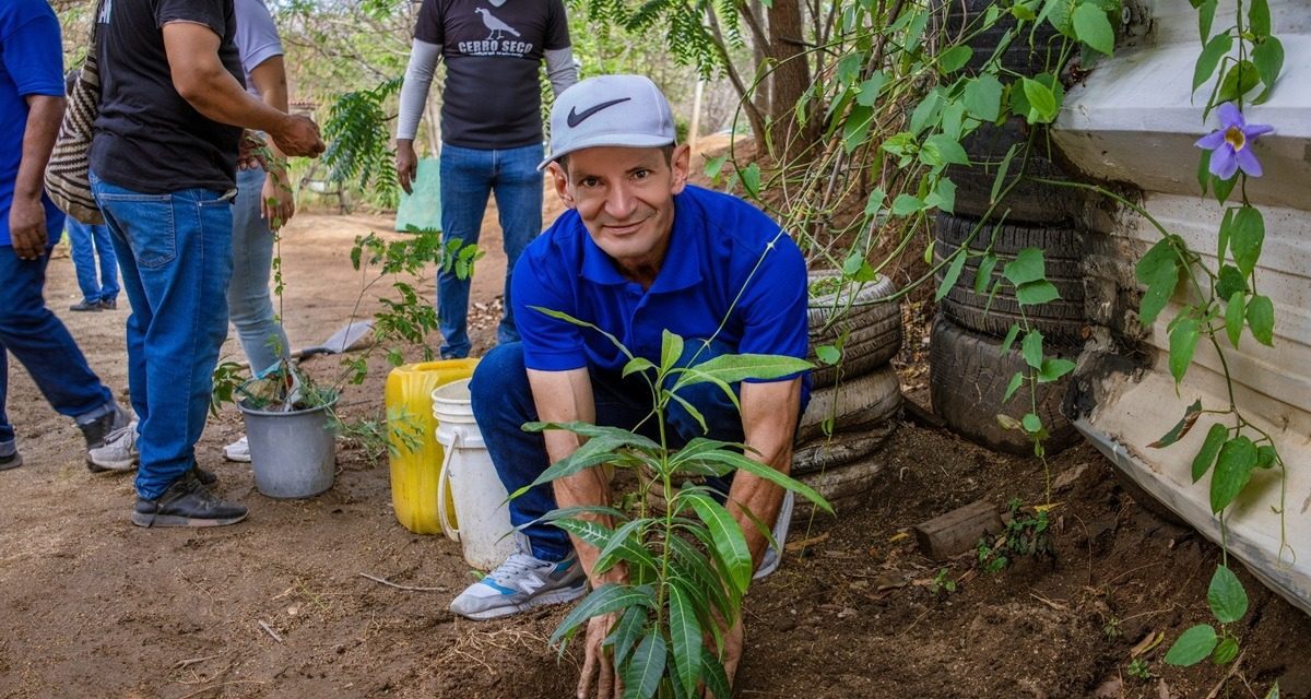 Alcaldía-SETP y Fundación Cerro Seco, siembran árboles por la vida