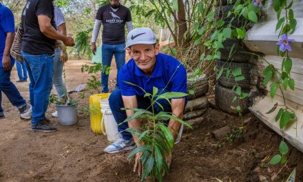 Alcaldía-SETP y Fundación Cerro Seco, siembran árboles por la vida