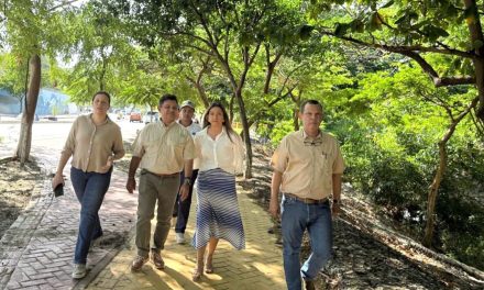 Parque Lineal y Ambiental del Manzanares, muy pronto para todos los samarios