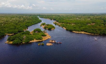 ¿Cómo va la recuperación de la Ciénaga Grande? Director de CORPAMAG nos cuenta