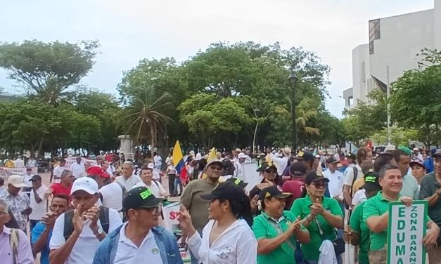 La gente cada vez marcha menos: Las voces que hablan sobre la baja afluencia en dos días de paro nacional