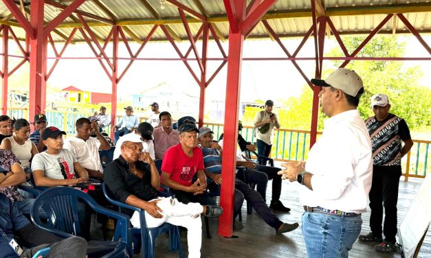 La advertencia escaló, planta invasora en la Ciénaga Grande hace daño