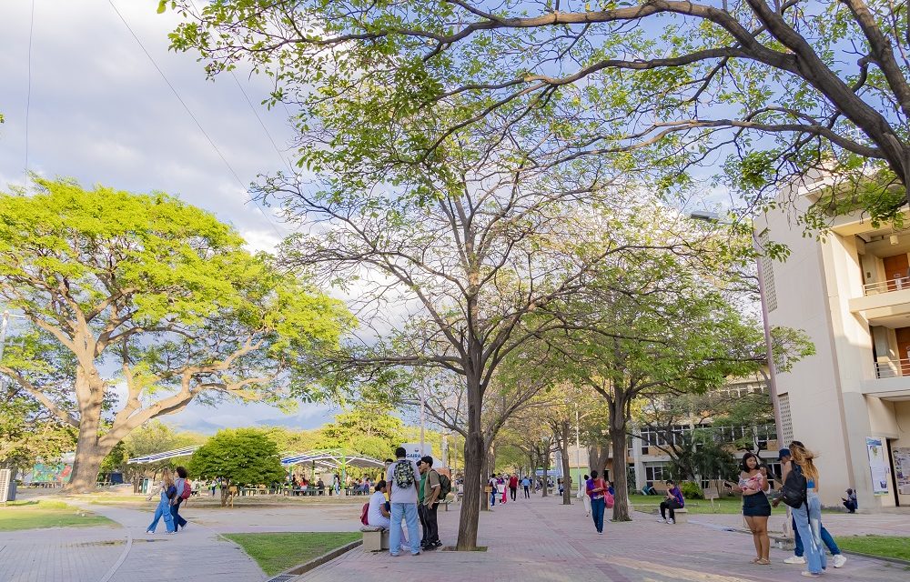 UNIMAGDALENA amplía inscripciones para aspirantes al periodo académico 2025-II