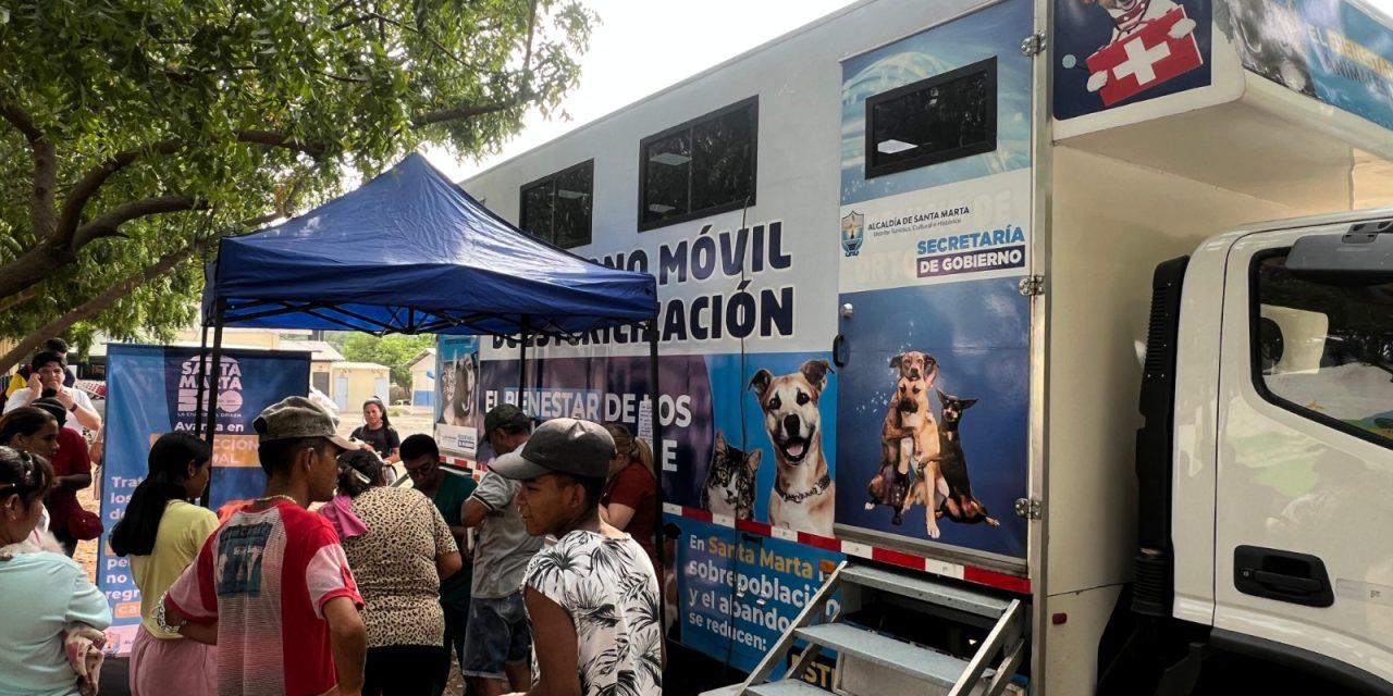 Megaesterilización para mascotas desarrolló alcaldía de Santa Marta