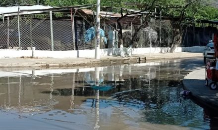 Ineficiencia de la intervenida ESSMAR E.S.P. causa el caos en la ciudad