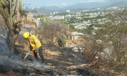 Alerta por incendios de cobertura vegetal: OGRICC recomienda medidas urgentes de prevención