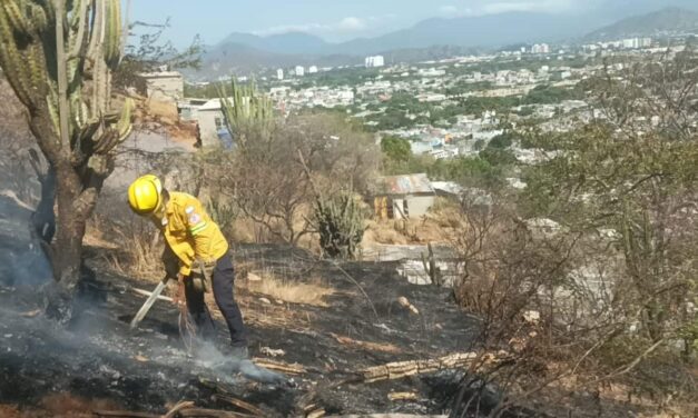 Alerta por incendios de cobertura vegetal: OGRICC recomienda medidas urgentes de prevención