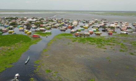 CORPAMAG lanza S.O.S al Gobierno Nacional ante la invasión de Hydrilla en la Ciénaga Grande de Santa Marta