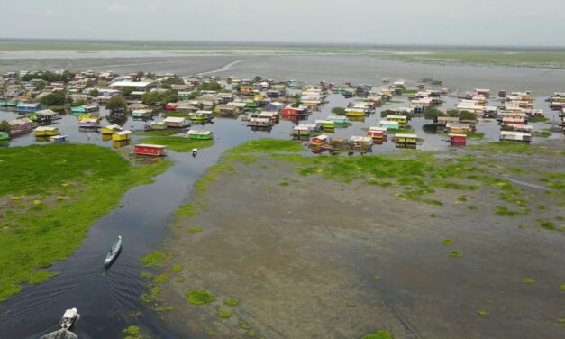 CORPAMAG lanza S.O.S al Gobierno Nacional ante la invasión de Hydrilla en la Ciénaga Grande de Santa Marta