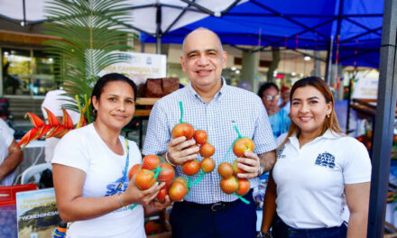 Proveedores locales ya pueden inscribirse en el Directorio de la Estrategia Eventful en Santa Marta