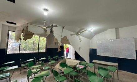 Secretaría de Educación Distrital inspecciona situación de colegios oficiales