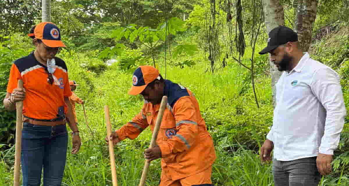 CORPAMAG y Defensa Civil van a la Vereda Paz Caribe sector  Don Diego y siembran más arboles