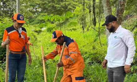 CORPAMAG y Defensa Civil van a la Vereda Paz Caribe sector  Don Diego y siembran más arboles