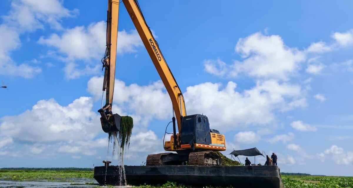 Con maquinaria pesada CORPAMAG, llega a la Ciénaga Grande para erradicar la Hydrilla Verticillata