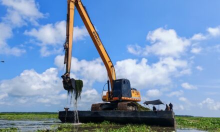 Con maquinaria pesada CORPAMAG, llega a la Ciénaga Grande para erradicar la Hydrilla Verticillata