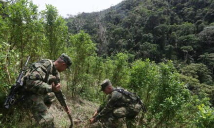 El presidente Trump y las culpas del gobierno Petro por la descertificación, destacó esfuerzos locales y abrió puerta para reversar la medida.