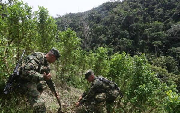 El presidente Trump y las culpas del gobierno Petro por la descertificación, destacó esfuerzos locales y abrió puerta para reversar la medida.