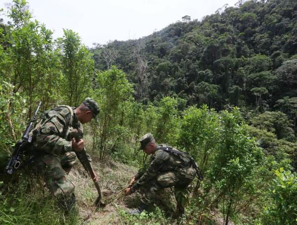 El presidente Trump y las culpas del gobierno Petro por la descertificación, destacó esfuerzos locales y abrió puerta para reversar la medida.