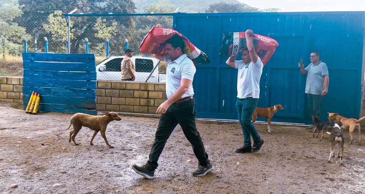 Bienestar animal sigue siendo prioridad del Gobierno Pinedo Cuello
