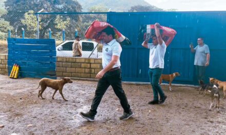 Bienestar animal sigue siendo prioridad del Gobierno Pinedo Cuello