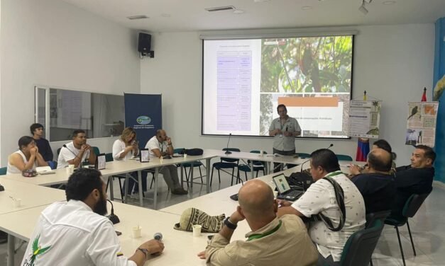 CORPAMAG y ProCAT trabajan en la construcción del Plan de Manejo para la Conservación de La Lora Serrana, especie endémica de la Sierra Nevada de Santa Marta