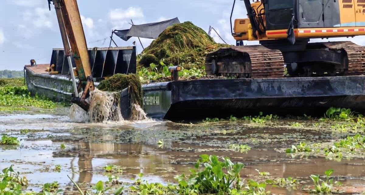 «Frente de lucha con maquinaria contra la Hydrilla finalza, llega la fase manual»: CORPAMAG