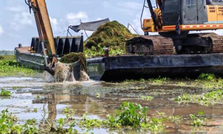 «Frente de lucha con maquinaria contra la Hydrilla finalza, llega la fase manual»: CORPAMAG