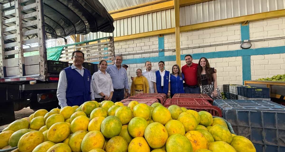 Cámara de Comercio impulsa acuerdos comerciales entre asociaciones de Guamal y ALFAIX