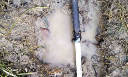 «Conexiones irregulares en acueductos ponen en riesgo la calidad del agua en el Magdalena»: AQUALIA