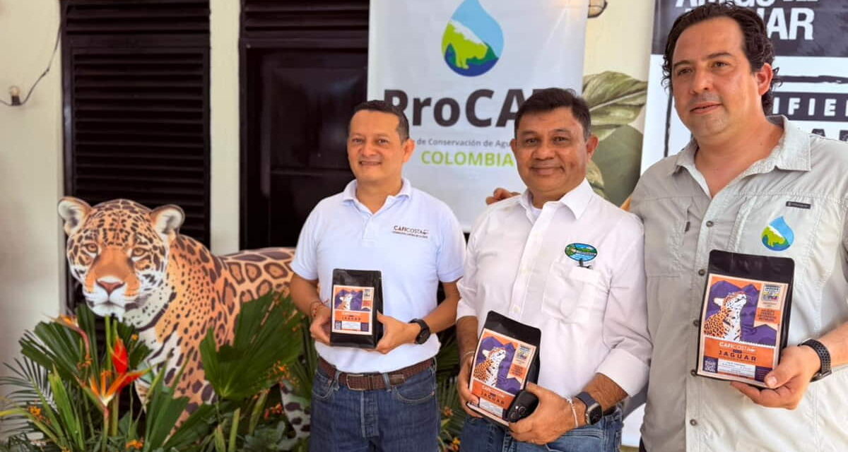 CORPAMAG, ProCAT Y CAFICOSTA Presentan:  ‘Sello Café Jaguar Sierra Nevada’, estrategia para proteger al Rey de la Montaña